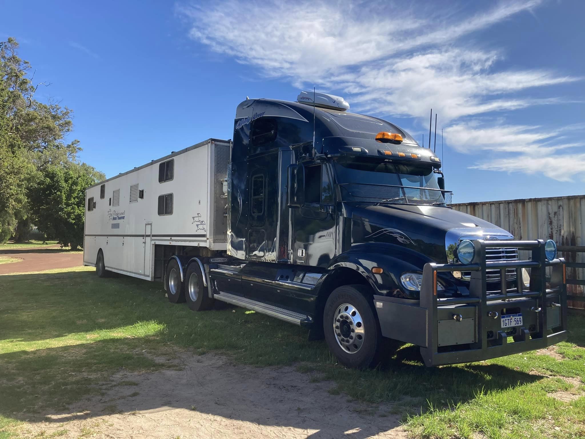 Professional Horse Transport within Australia